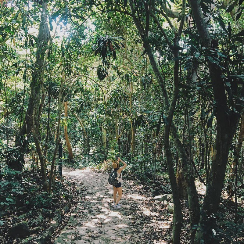 Côn Đảo Chơi gì? ở đâu? Đi như thế nào? Cập Nhât 2025 - Ảnh 8