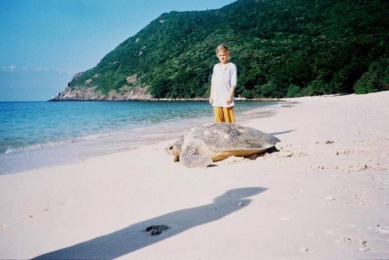 Hành Trình Bảo Về Rùa Biển Ở Côn Đảo - Ảnh 10 Hành Trình Bảo Về Rùa Biển Ở Côn Đảo - Ảnh 10