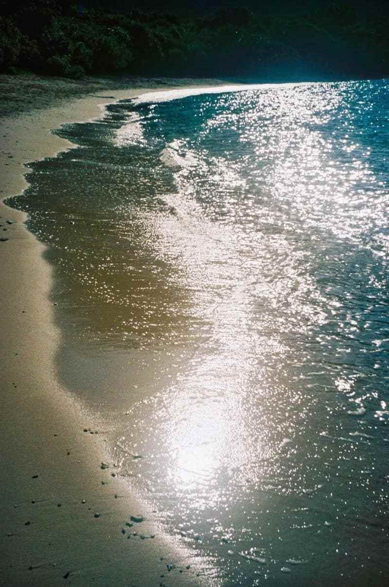 Hành Trình Bảo Về Rùa Biển Ở Côn Đảo - Ảnh 11 Hành Trình Bảo Về Rùa Biển Ở Côn Đảo - Ảnh 11