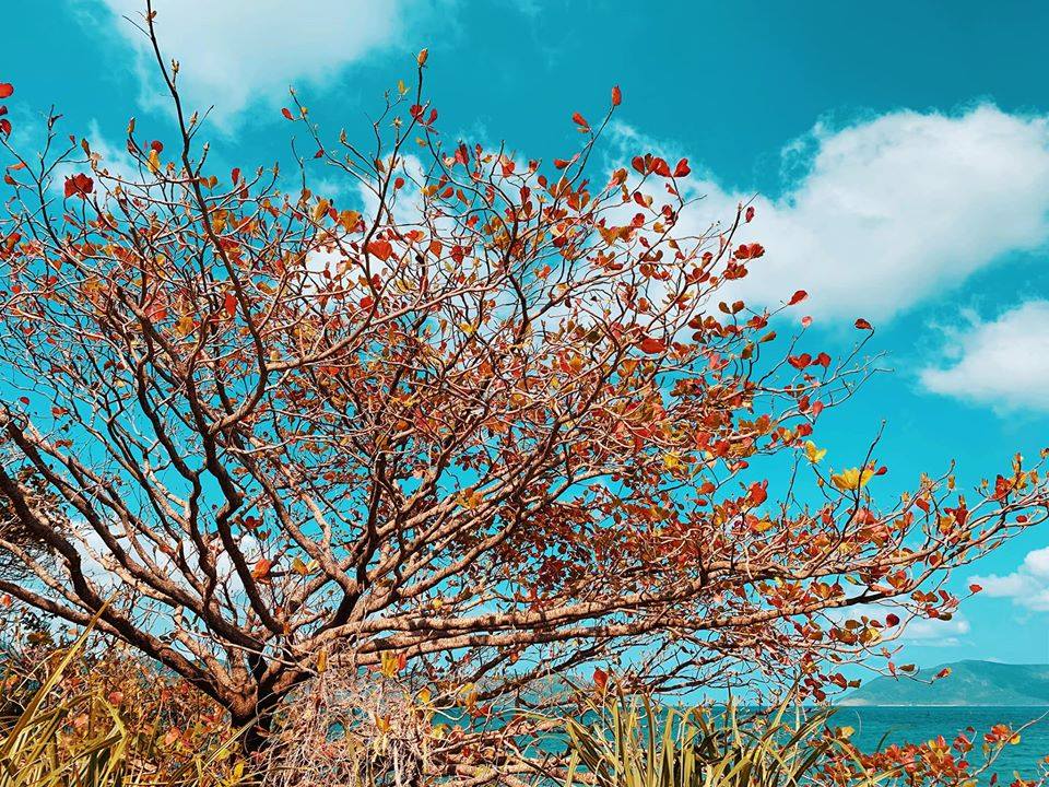 Hành Trình Chinh Phục Côn Đảo 2 Ngày 1 Đêm - Ảnh 4