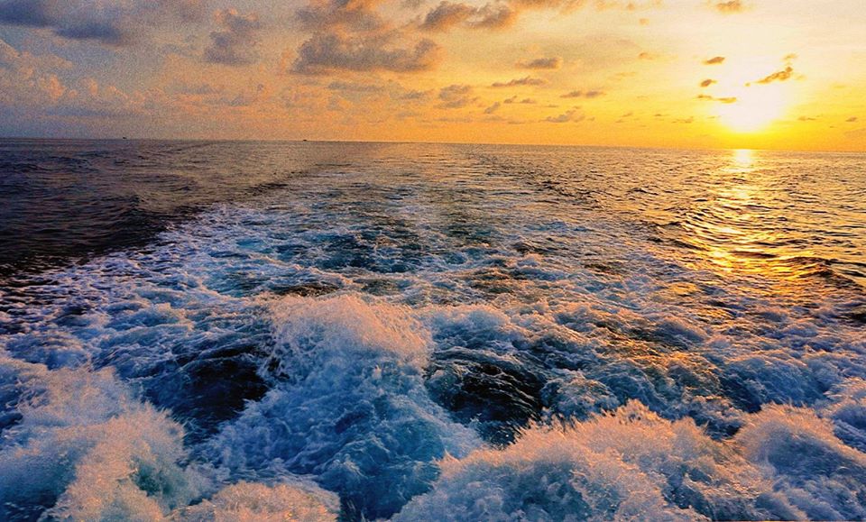 Chuẩn bị gì cho chuyến đi Côn Đảo? Chuẩn bị gì cho chuyến đi Côn Đảo?