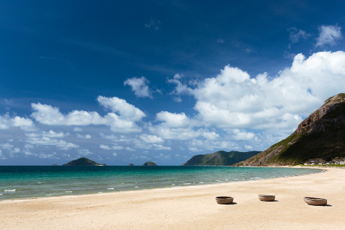 Rùa Biển Liên Tiếp Đẻ Trứng Trên Bãi Biển Ở Côn Đảo - Ảnh 3