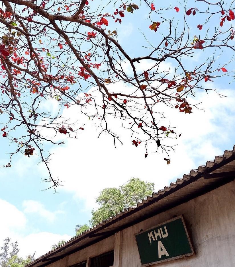 Các tín đồ đam mê sống ảo cũng đừng quên Côn Đảo - Ảnh 14