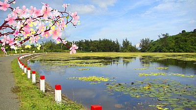 Du xuân ngày tết Côn Đảo chớ đừng quên đến Hồ An Hải Du xuân ngày tết Côn Đảo chớ đừng quên đến Hồ An Hải