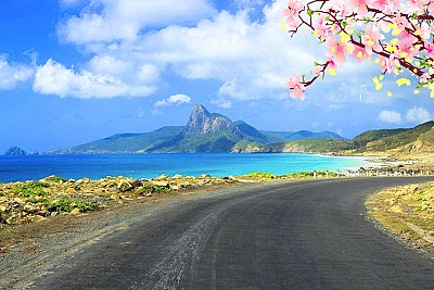 Du xuân ngày Tết Côn Đảo khám phá Yến Hàng quý hiếm Du xuân ngày Tết Côn Đảo khám phá Yến Hàng quý hiếm