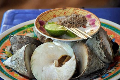 Mê mẩn với ốc vú nàng đặc sản biển Côn Đảo Mê mẩn với ốc vú nàng đặc sản biển Côn Đảo