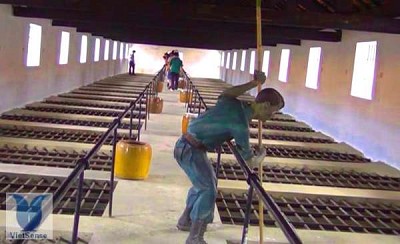 Nhà Tù Côn Đảo Nhà Tù Côn Đảo