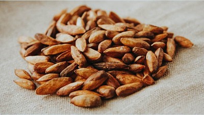 Tại Sao Mứt Làm Từ Hạt Bàng Lại Hút Khách Ở Côn Đảo Tại Sao Mứt Làm Từ Hạt Bàng Lại Hút Khách Ở Côn Đảo
