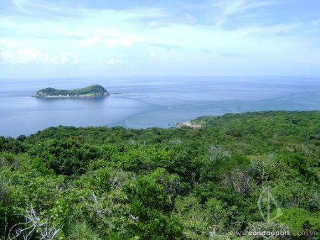 Chiêm ngưỡng vẻ đẹp của hòn Tre Nhỏ