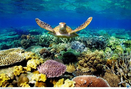 Chương Trình Côn Đảo 3 Ngày 2 Đêm Khởi Hành Từ Hà Nội: Mùng 2, 3, 4, 5 Tết 2025