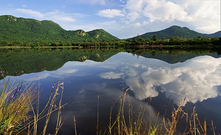 “ Đắm mình ” trong vẻ đẹp của hồ sen An Hải