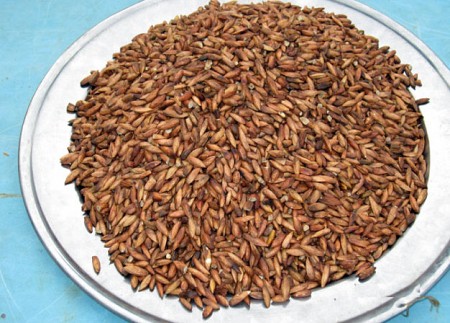 Đến Côn Đảo nên ăn gì