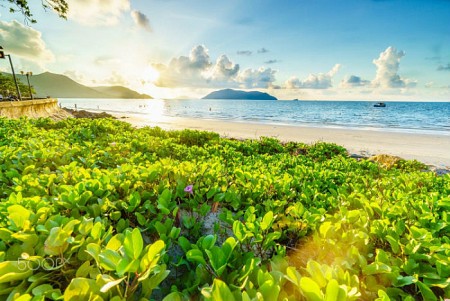 Đến Với Mảnh Đất Quá Khứ Là Địa Ngục- Hiện Tại Là Thiên Đường