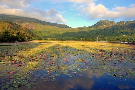 Hà Nội - Cần Thơ - Côn Đảo | 3 Ngày 2 Đêm Tết Dương Lịch 2025