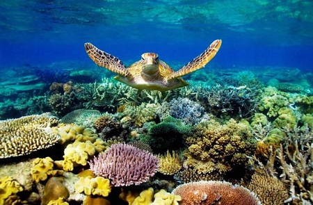 Hà Nội - Cần Thơ - Côn Đảo | 3 Ngày 2 Đêm Tết Dương Lịch 2025