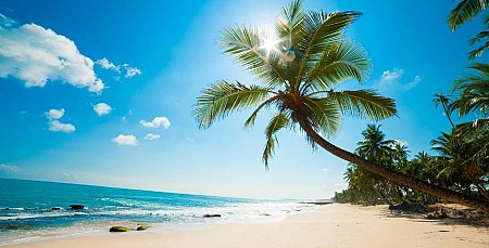 Hà Nội - Cần Thơ - Côn Đảo | 3 Ngày 2 Đêm Tết Dương Lịch 2025