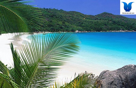 Hành Trình 2 Ngày 1 Đêm Từ Hà Nội: Một Thoáng Côn Đảo