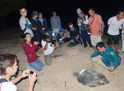 Hành Trình 3 Ngày 2 Đêm Hàng Ngày: Dã Ngoại Đảo Hoang - Xem Vích Đẻ Trứng