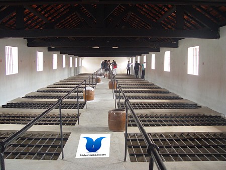 Hành Trình 4 Ngày 3 Đêm Từ Hà Nội: Côn Đảo Dấu Ấn Một Thời