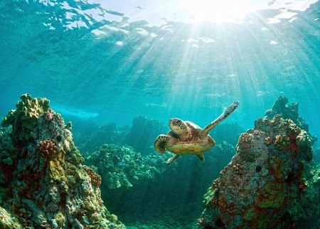 Mùa hè ở Côn Đảo có gì?