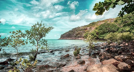 Mũi Cá Mập - Bãi Nhát - Miếu Năm - Trại Phú Hải - Miếu bà Phi Yến - Bãi Đầm Trầu | bay thằng từ Hà Nội