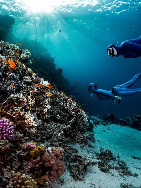 Mũi Cá Mập - Bãi Nhát - Miếu Năm - Trại Phú Hải - Miếu bà Phi Yến - Bãi Đầm Trầu | bay thằng từ Hà Nội