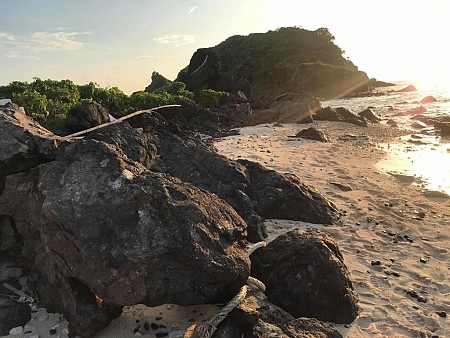 Ngắm rùa đẻ trứng tại hòn Tre Lớn Ngắm rùa đẻ trứng tại hòn Tre Lớn