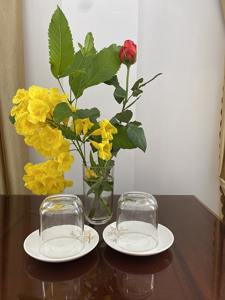 Nhà Khách Côn Đảo