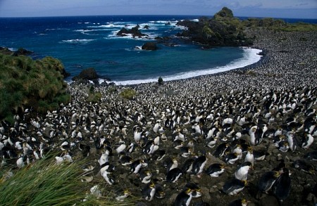 10 Hòn Đảo Thiên Đường cho động vật trên thế giới