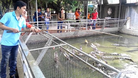 Những chương trình độc lạ hút khách Tây ở Việt Nam