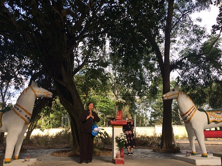 Tết âm lịch 2025 Khởi hành từ HCM | Cảng Bến Đầm - Bãi Nhát - Chùa Núi Một - Dinh chúa Đảo - Nghĩa trang Hàng Dương - Miếu bà Phi Yến