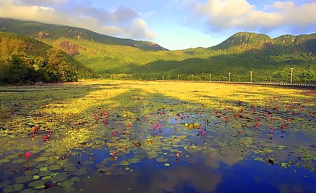 Trại tù Phú Sơn, Phú Hải - Nghĩa trang Hàng Dương - Miếu bà Phi Yến - Miếu Cậu - Bãi Đầm Trầu Dịp 30/4/2025 (VCD31)