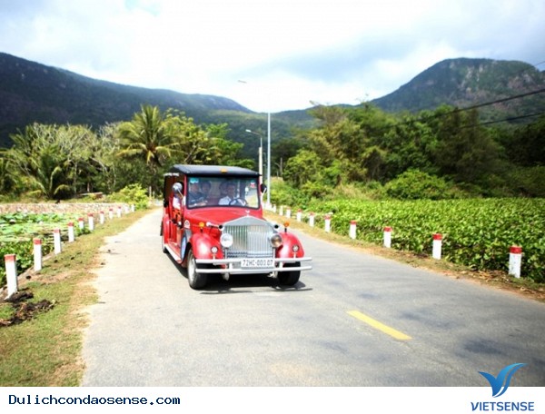 Mùa hè ở Côn Đảo có gì? - Ảnh 4