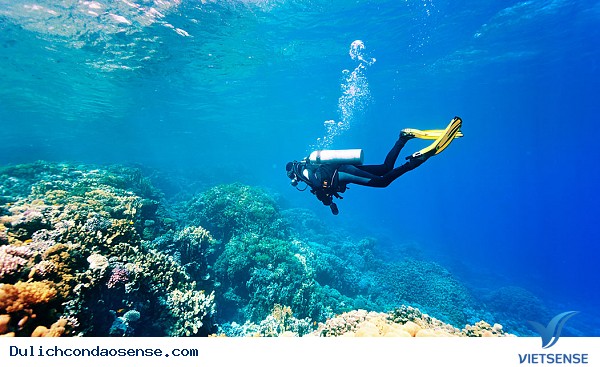 Mùa hè ở Côn Đảo có gì? - Ảnh 2