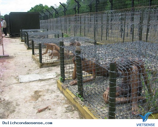 Tiềm năng Phát triển Lữ Hành
 xanh ở Côn Đảo - Ảnh 4