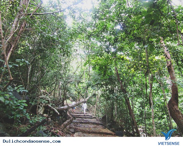 Tiềm năng Phát triển Lữ Hành
 xanh ở Côn Đảo - Ảnh 5