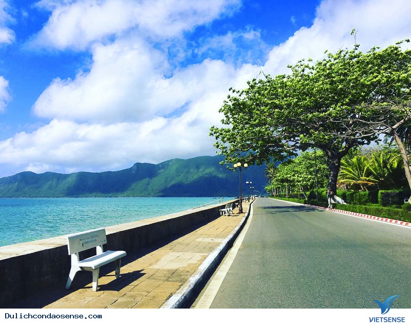 Bàng Côn Đảo giờ này ra sao - Ảnh 5