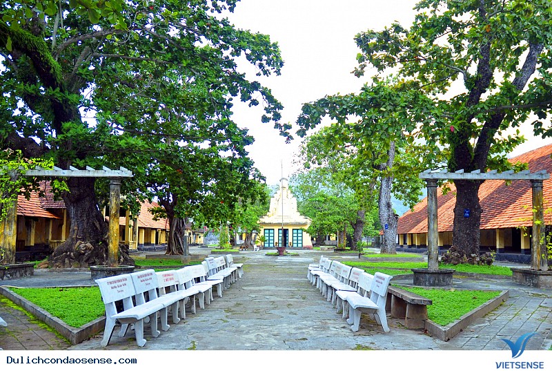 Bàng Côn Đảo giờ này ra sao - Ảnh 2