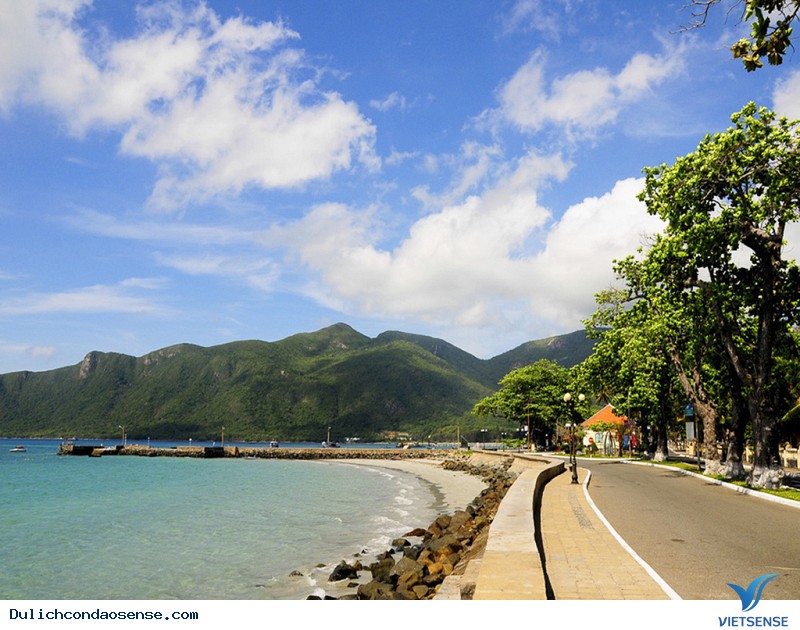 Bàng Côn Đảo giờ này ra sao - Ảnh 4