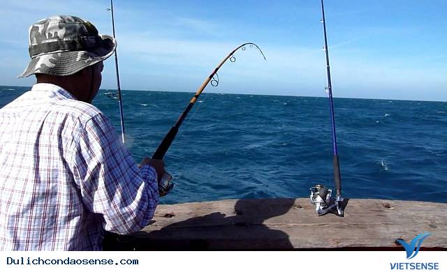 Câu Cá Côn Đào- Một Trải Nghiệm Thú Vị - Ảnh 4