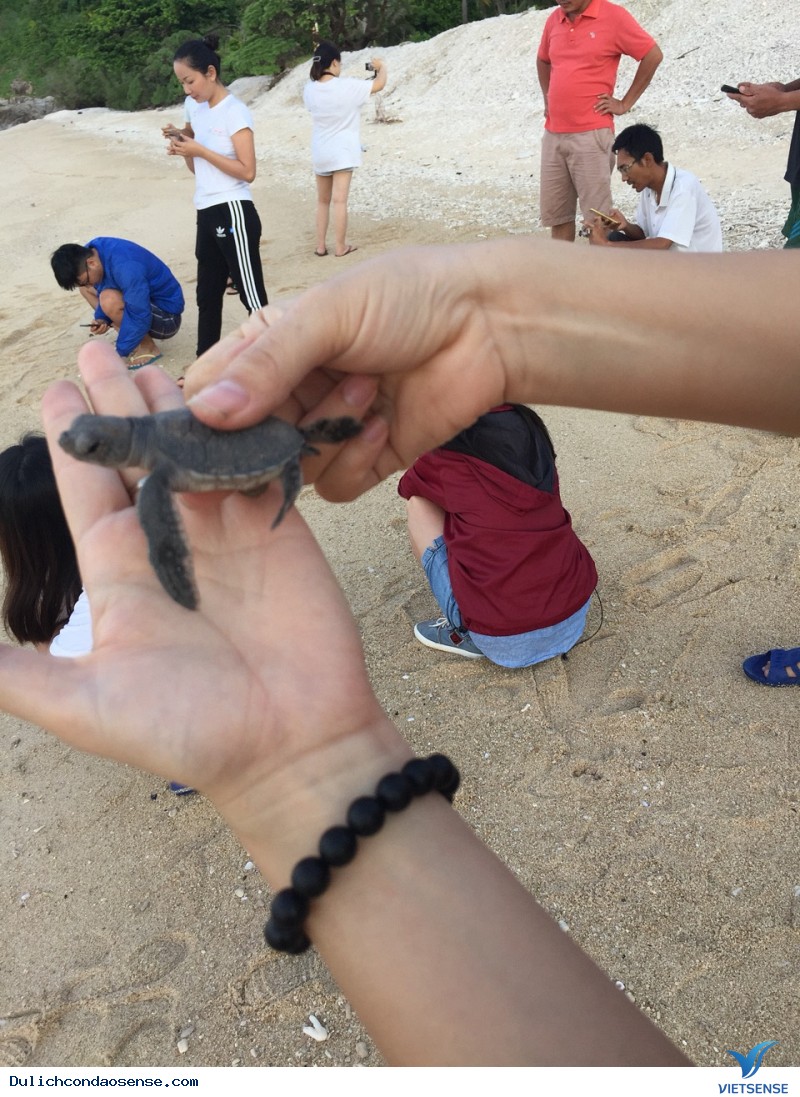 Côn Đảo dưới góc nhìn của một cô gái - Ảnh 8 Côn Đảo dưới góc nhìn của một cô gái - Ảnh 8