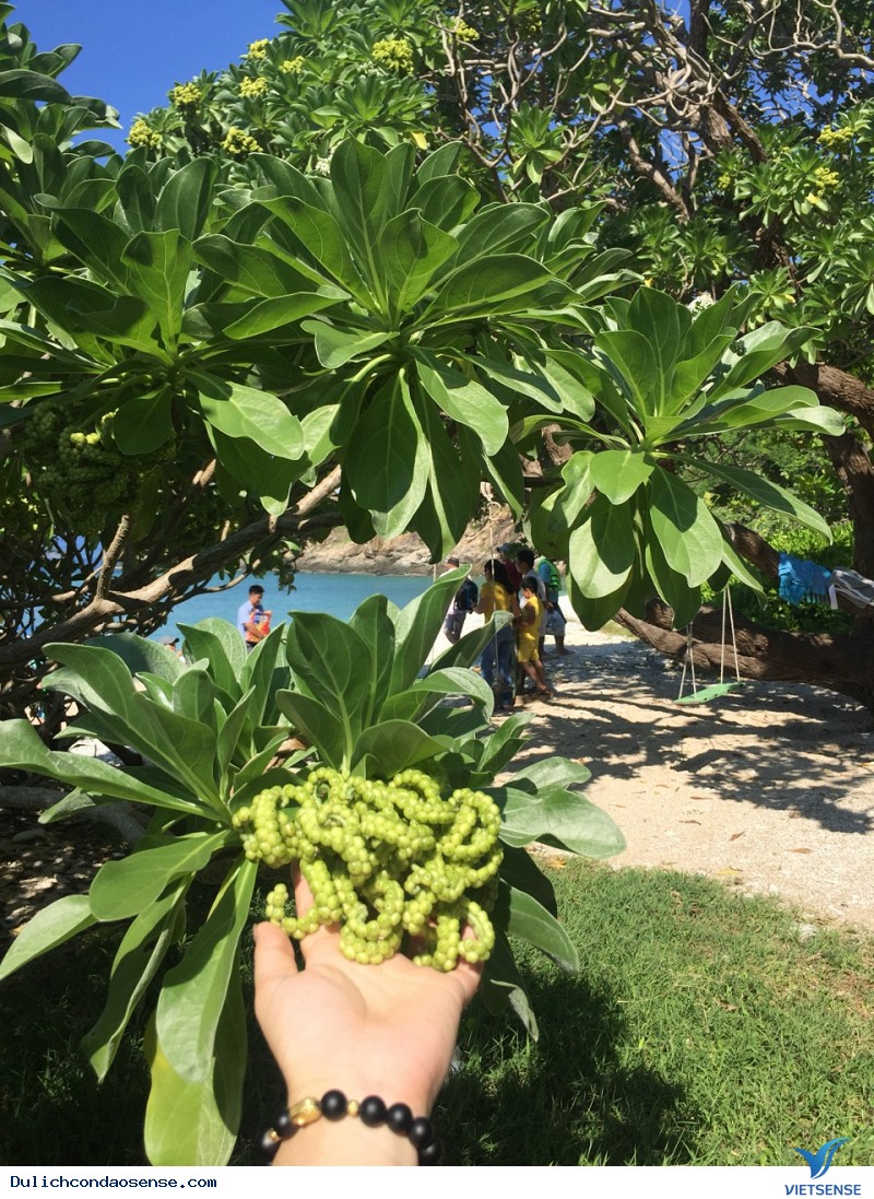 Côn Đảo dưới góc nhìn của một cô gái - Ảnh 6 Côn Đảo dưới góc nhìn của một cô gái - Ảnh 6