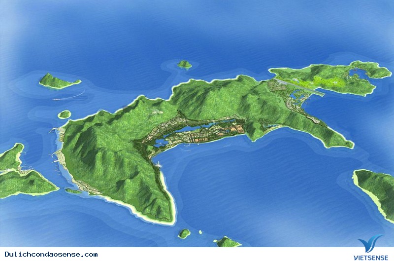 Quả trứng vàng giữa biển khơi sâu thẳm