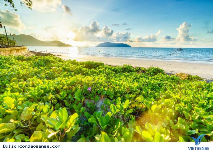 Hoá thiên đường trên những đau thương - Ảnh 1