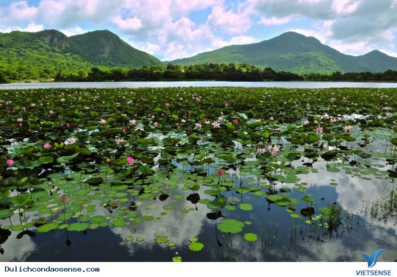 Đẹp ngất trời với Hồ An Hải - Ảnh 2