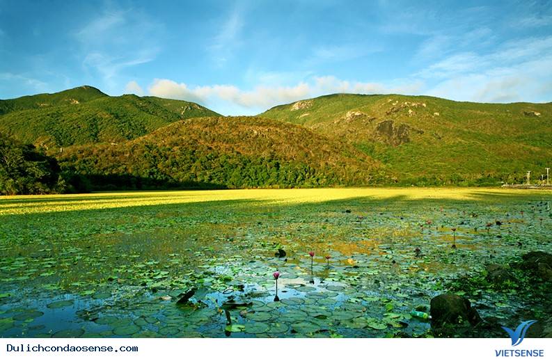 Đẹp ngất trời với Hồ An Hải - Ảnh 1