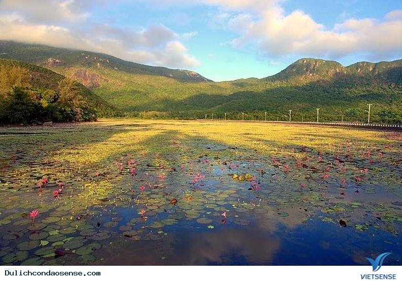 Đẹp ngất trời với Hồ An Hải - Ảnh 3