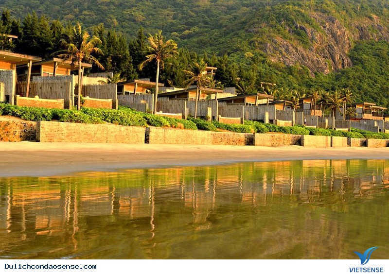 khách thăm quan đến Côn Đảo nghĩ gì về vườn Quốc gia Côn Đảo - Ảnh 3