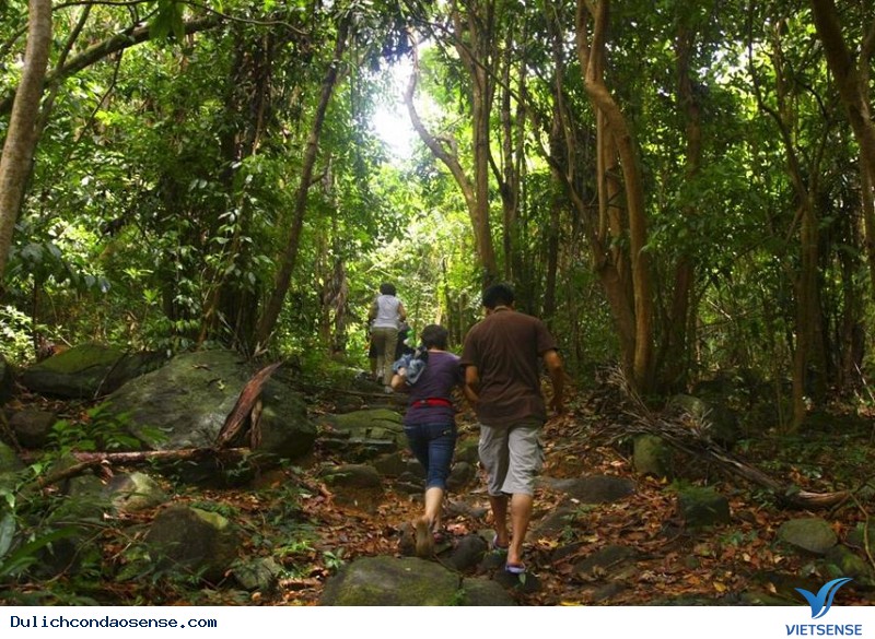 khách thăm quan đến Côn Đảo nghĩ gì về vườn Quốc gia Côn Đảo - Ảnh 2