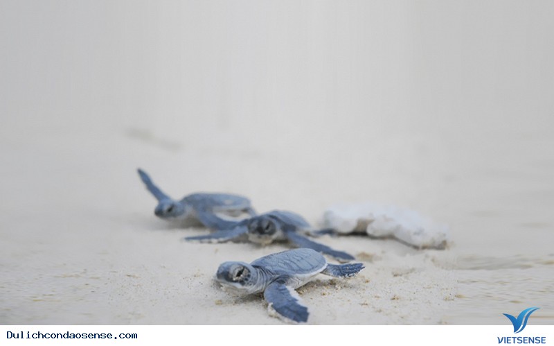 Tổng hợp lại đôi chút ngắn gọn về những bối cảnh mà bạn sẽ chụp - Ảnh 3